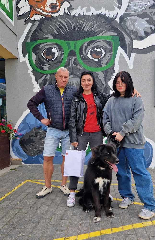 czarny pies, ludzie kolorowa ściana, adopcja