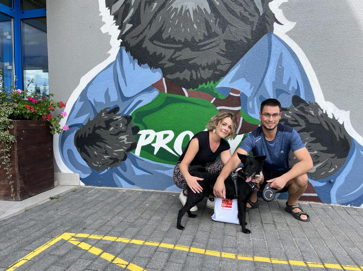 adopcja, szczęśliwy ludzi, czarny piesek na tle kolorowej ściany