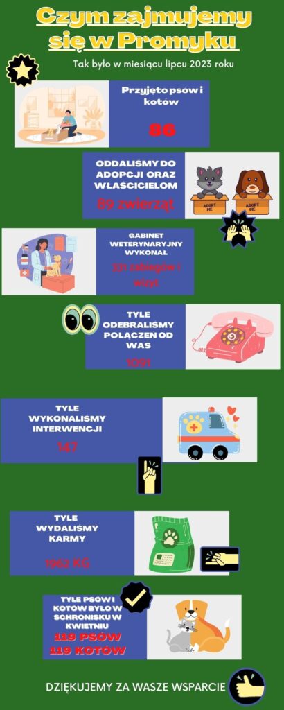 infografika statystyki miesiąc lipiec