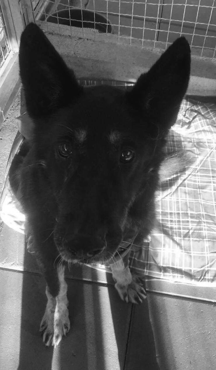 381029215_1026594521710042_8611900270821271577_n