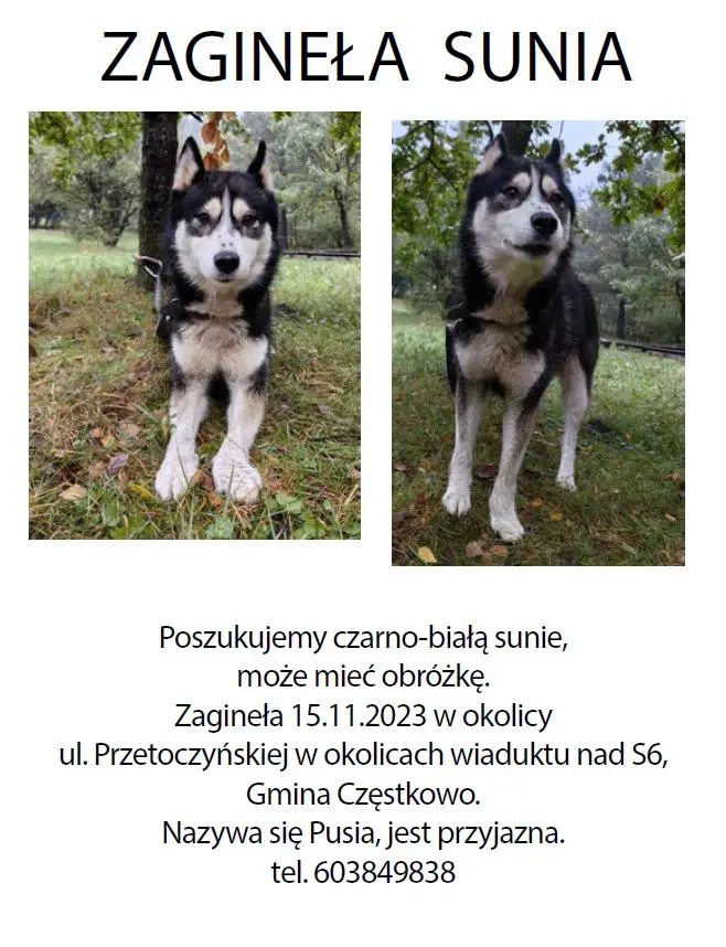 przechwytywanie