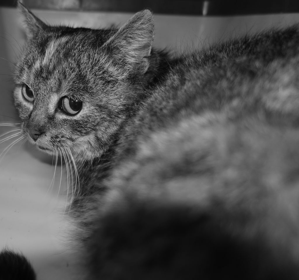 DSC00238