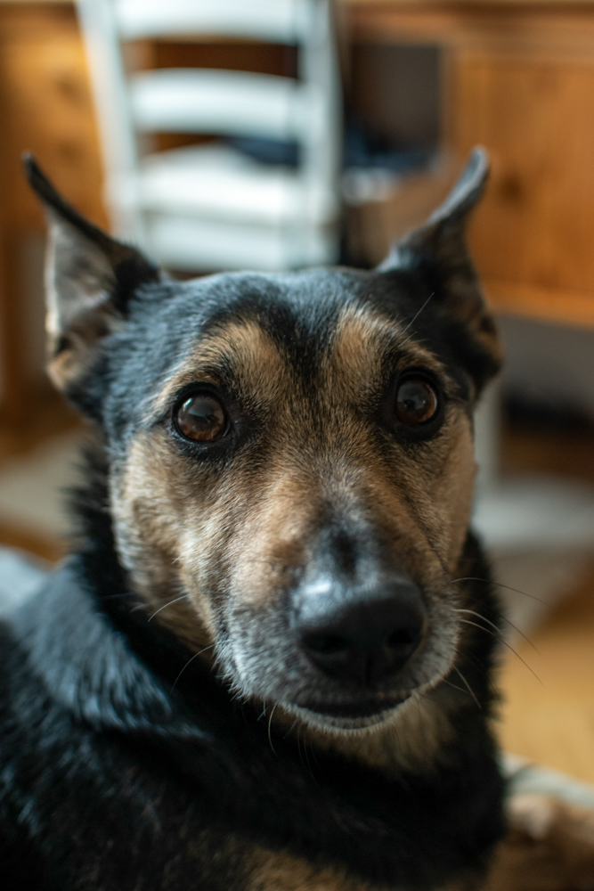 DSC_0052