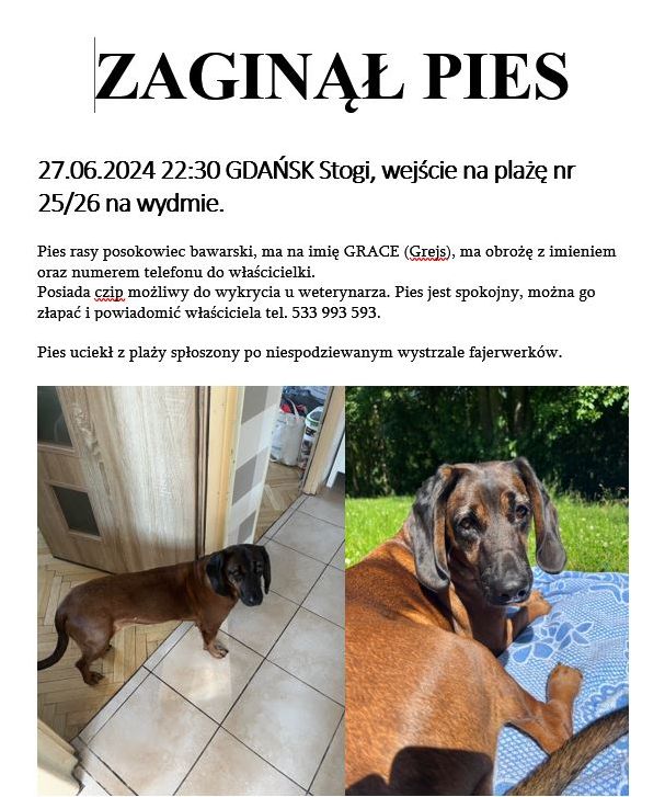 Przechwytywanie