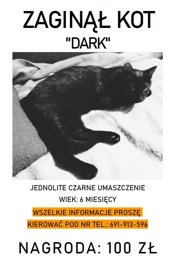 przechwytywanie