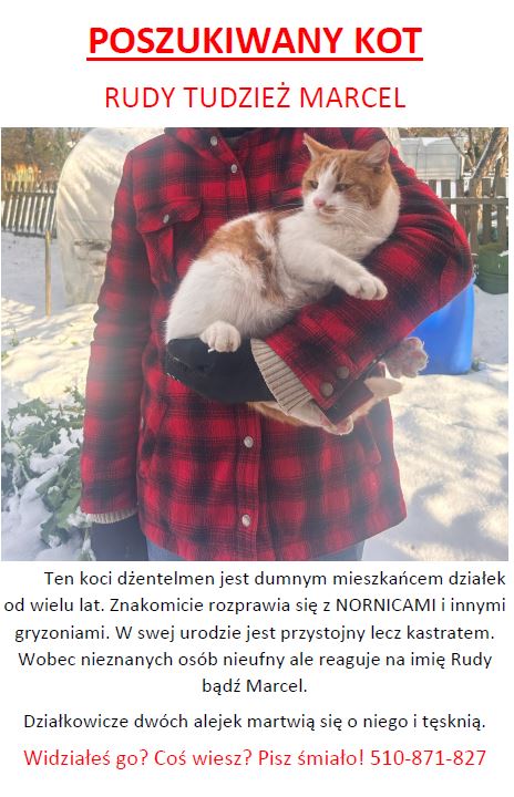 Przechwytywanie