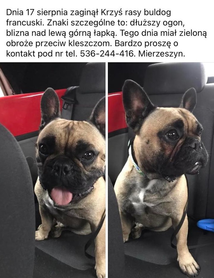 454659310_845607230877994_751469491413175887_n