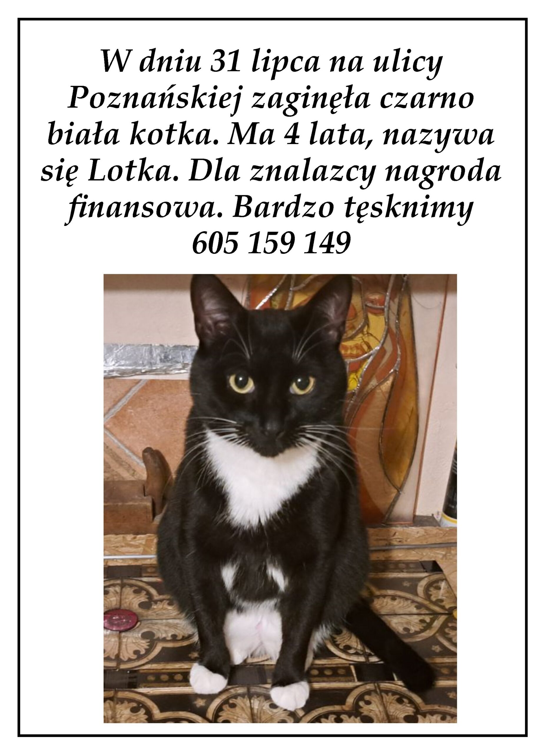 ogloszenie kot (1)