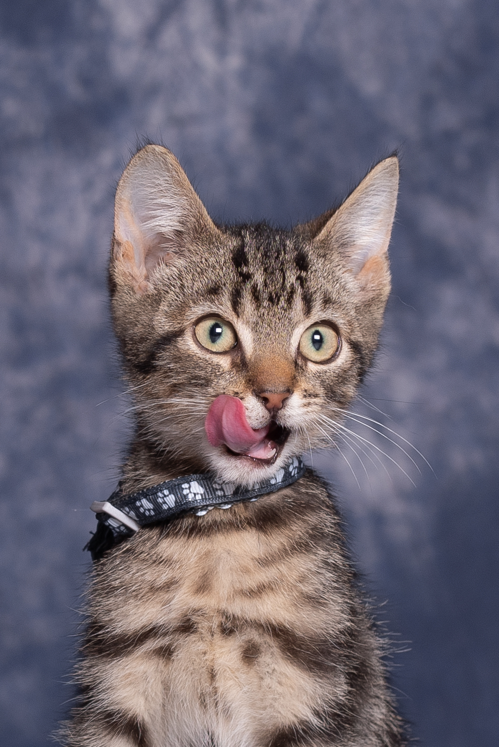 DSC_1062-Edit
