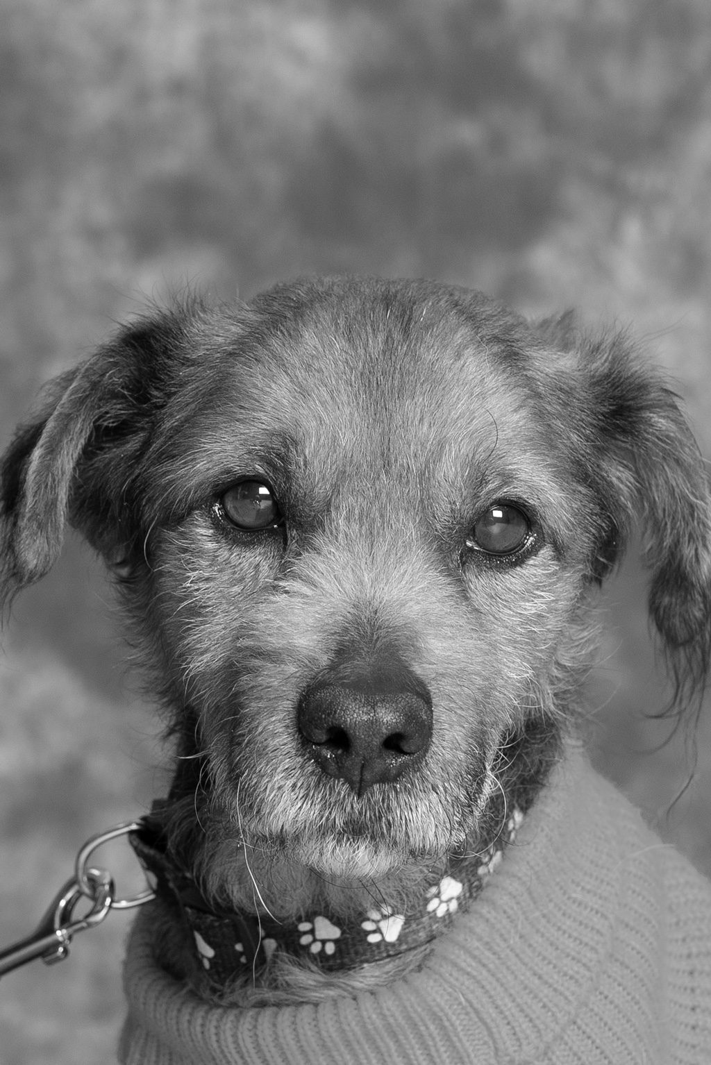 DSC_1406-Edit