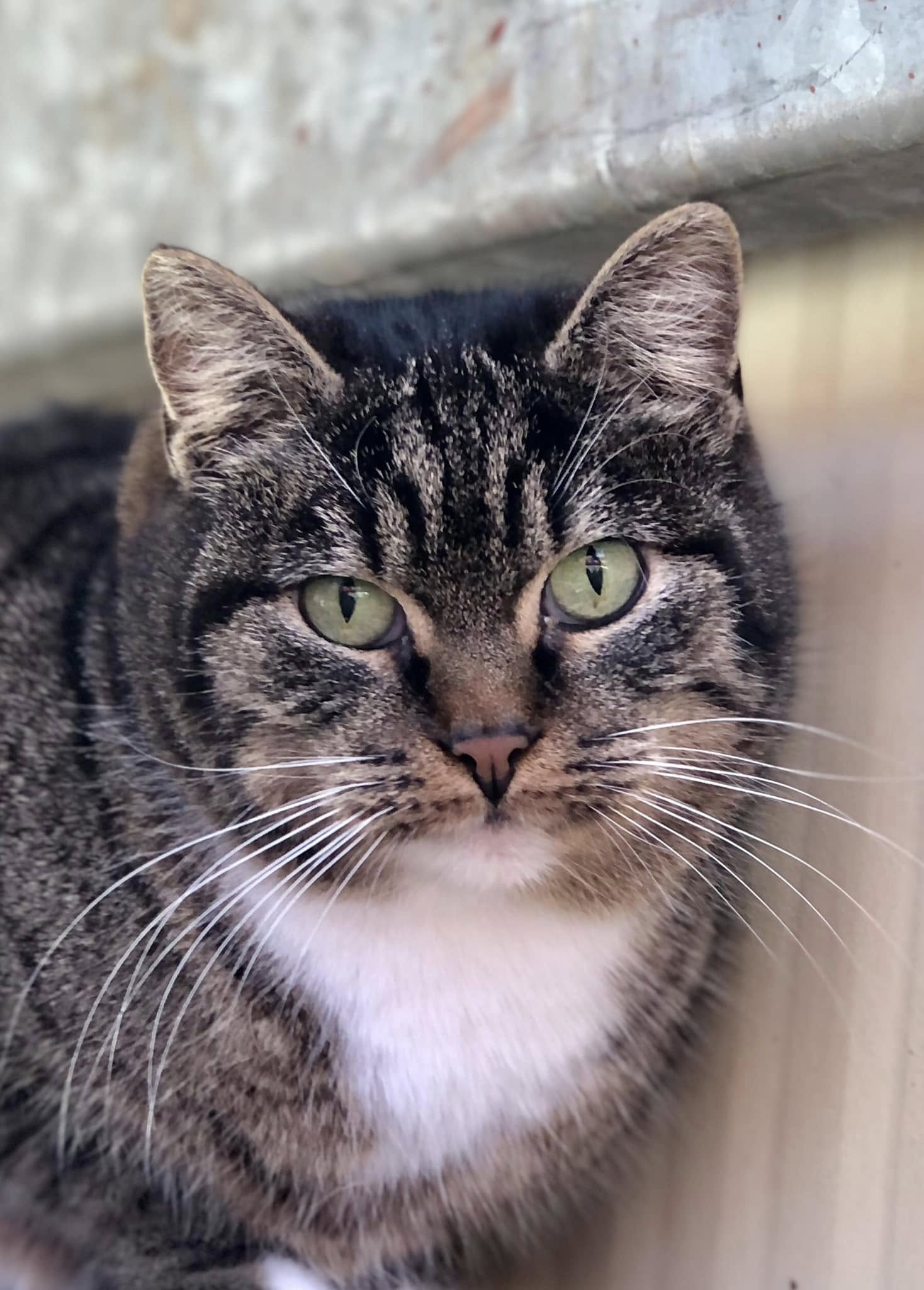 474724843_605997442288743_2675807438601668141_n