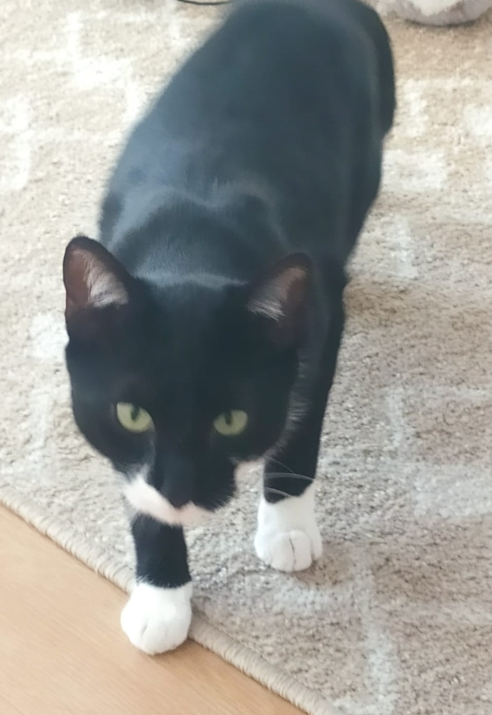 SmartSelect_20241227-185934_Gmail