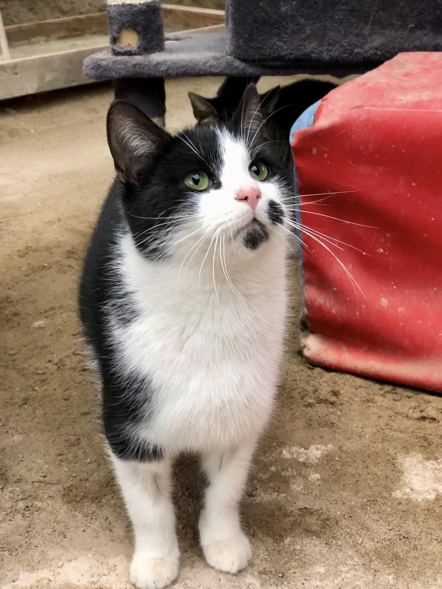 476418280_619073634314457_4266431093348560457_n