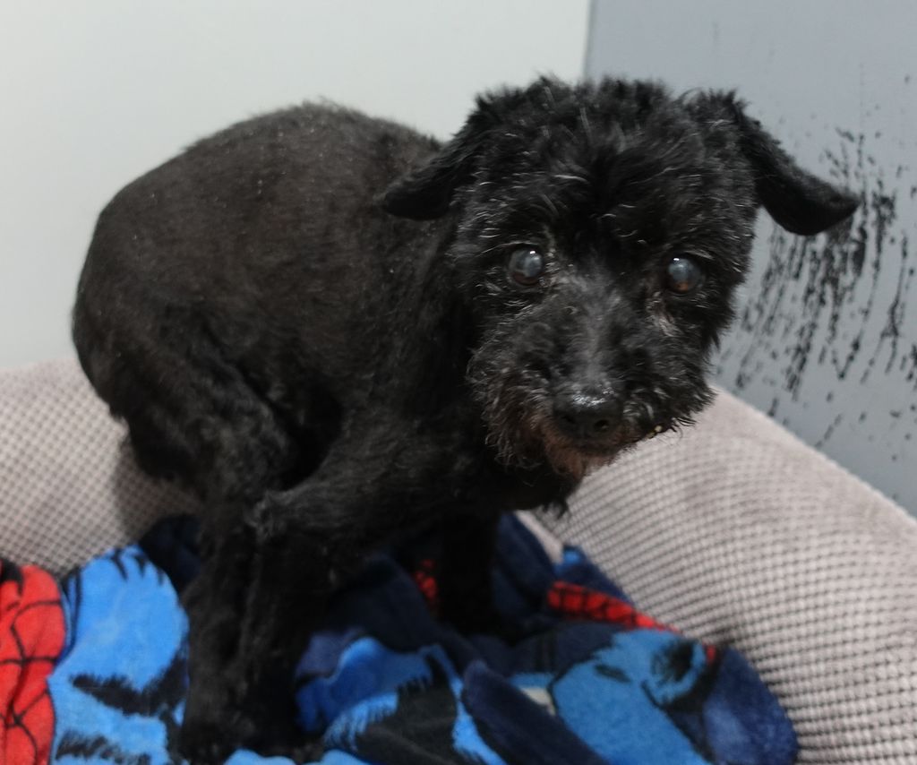 DSC02794