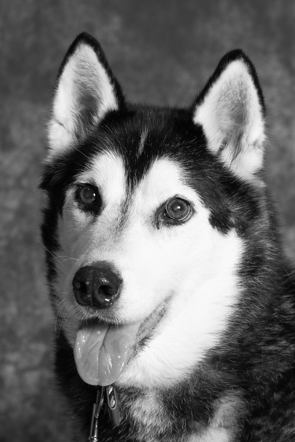 DSC_1544-Edit