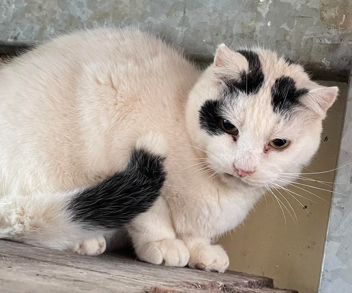 487825884_658741587014328_7368181142855461960_n