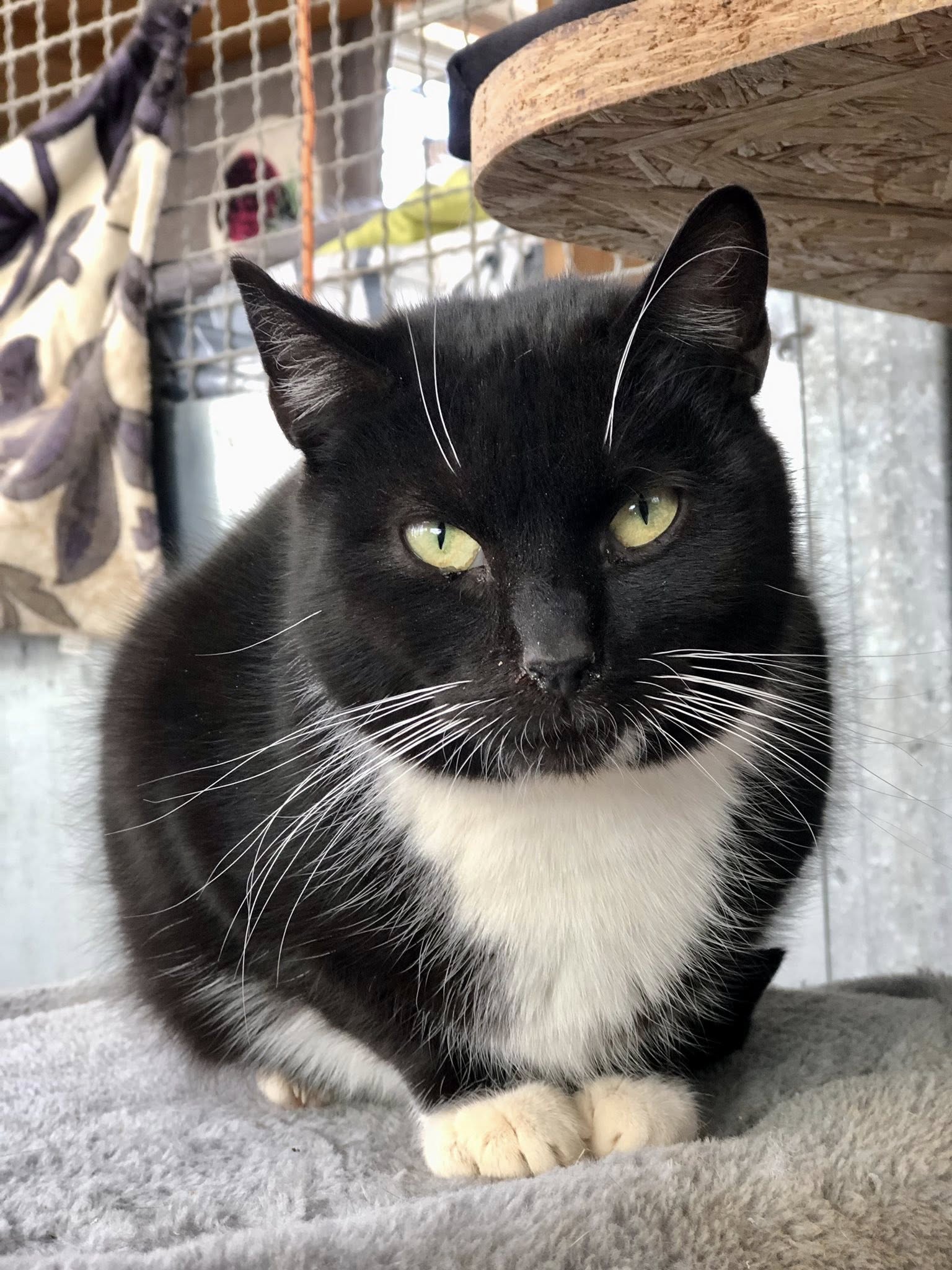 489447553_662612953293858_426101982846851034_n