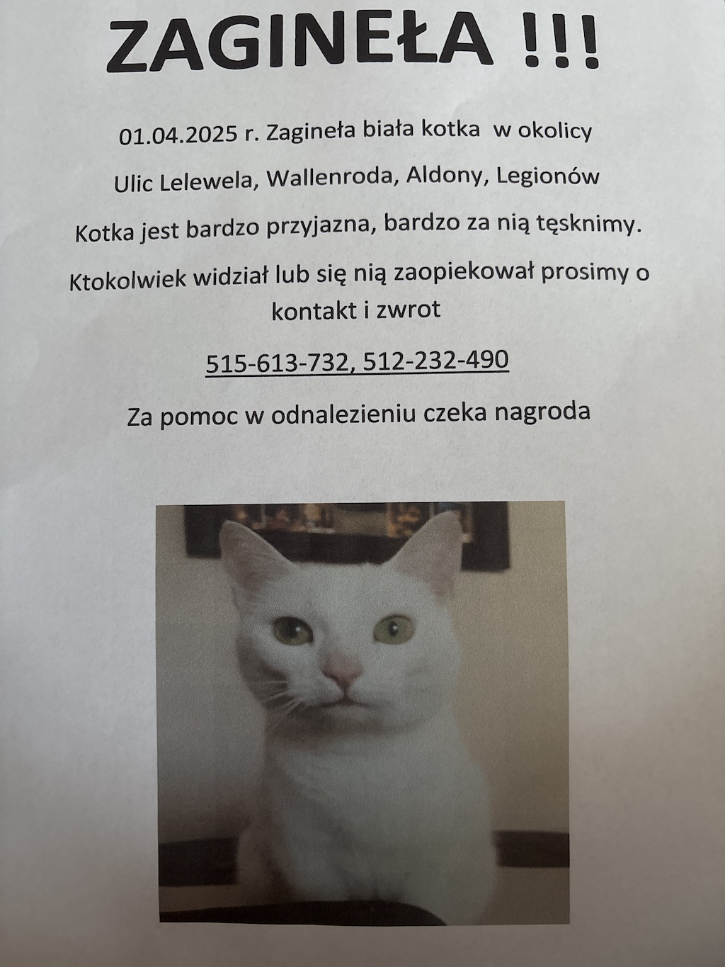 Zdjecie1