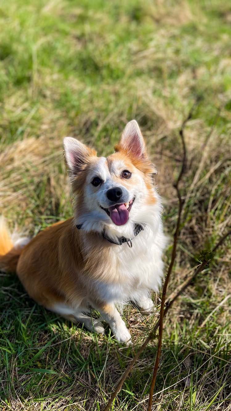 Charlie