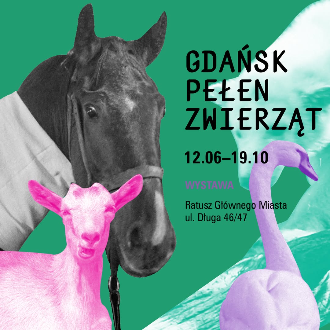 503566533_1116396923846238_7261087920450528420_n