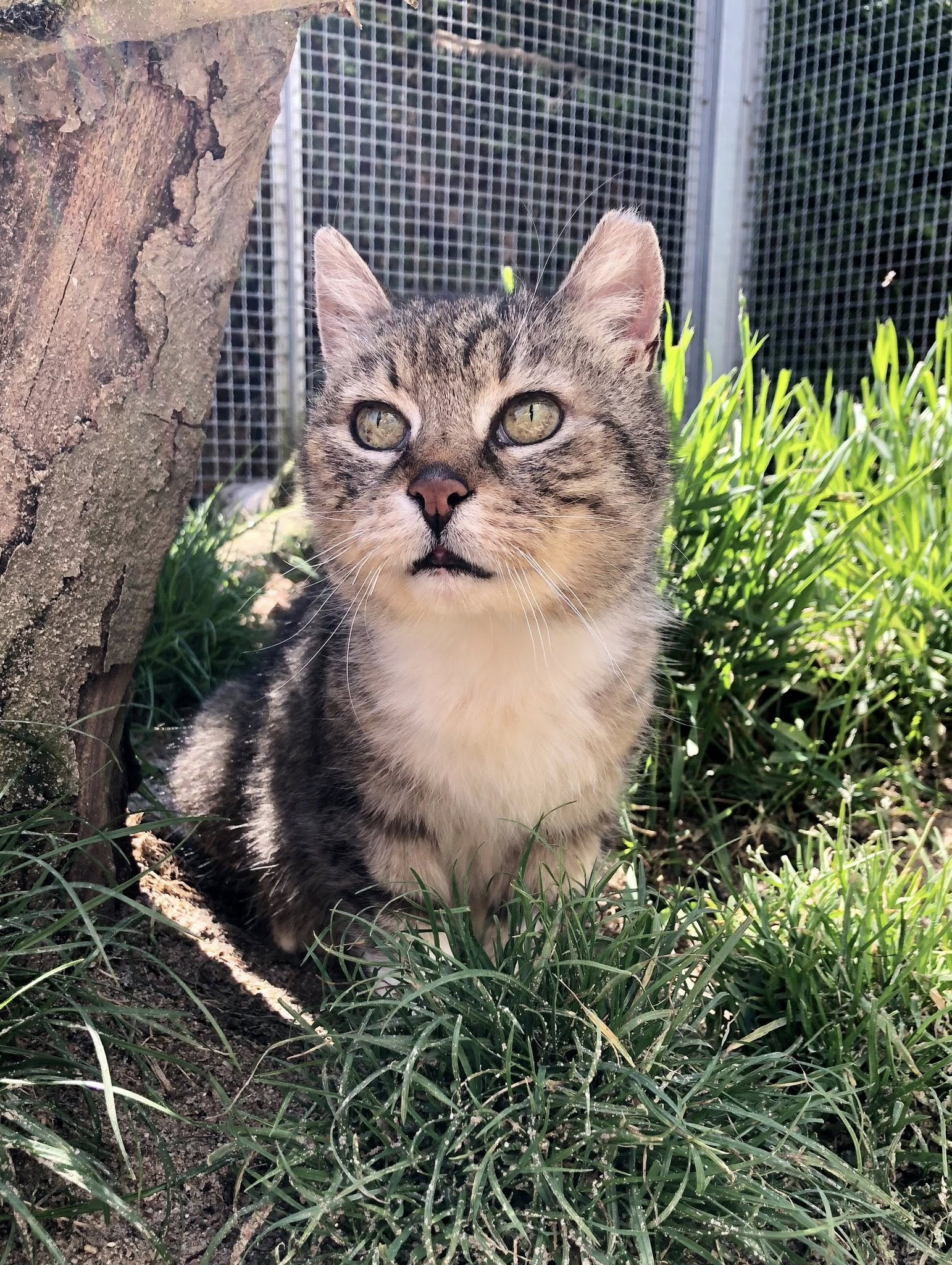 518277675_737544975800655_6403893029666108077_n