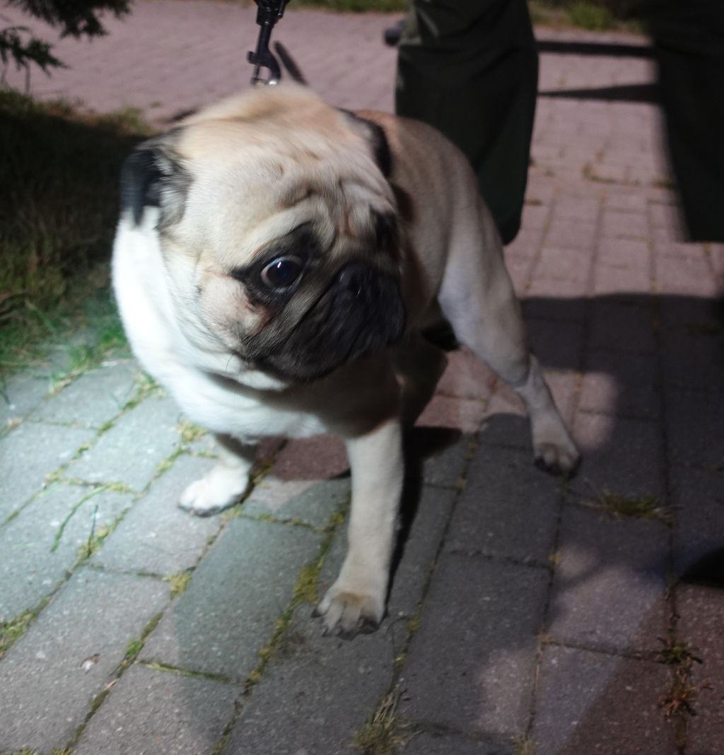 DSC03532