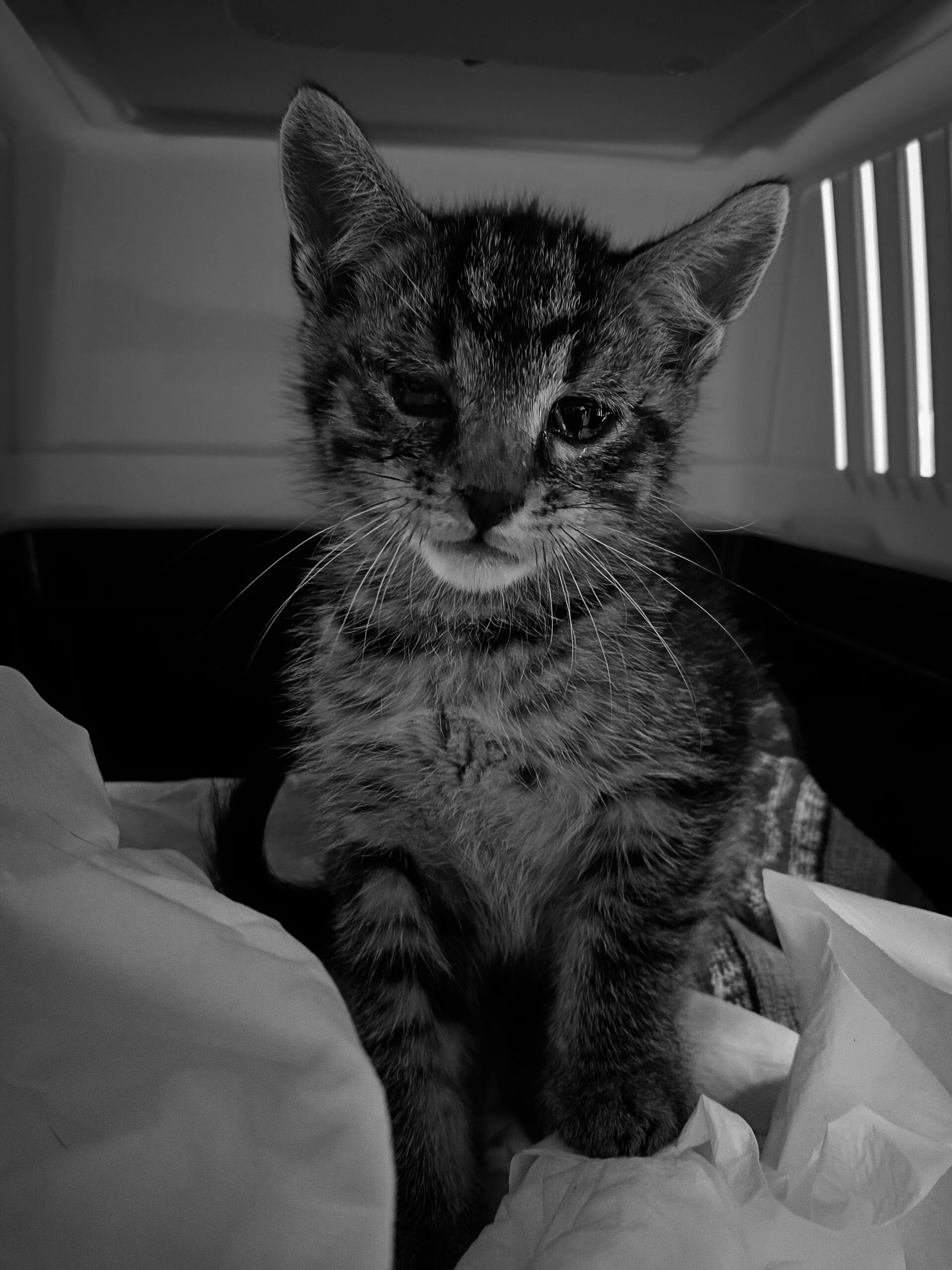 1000013595-scaled