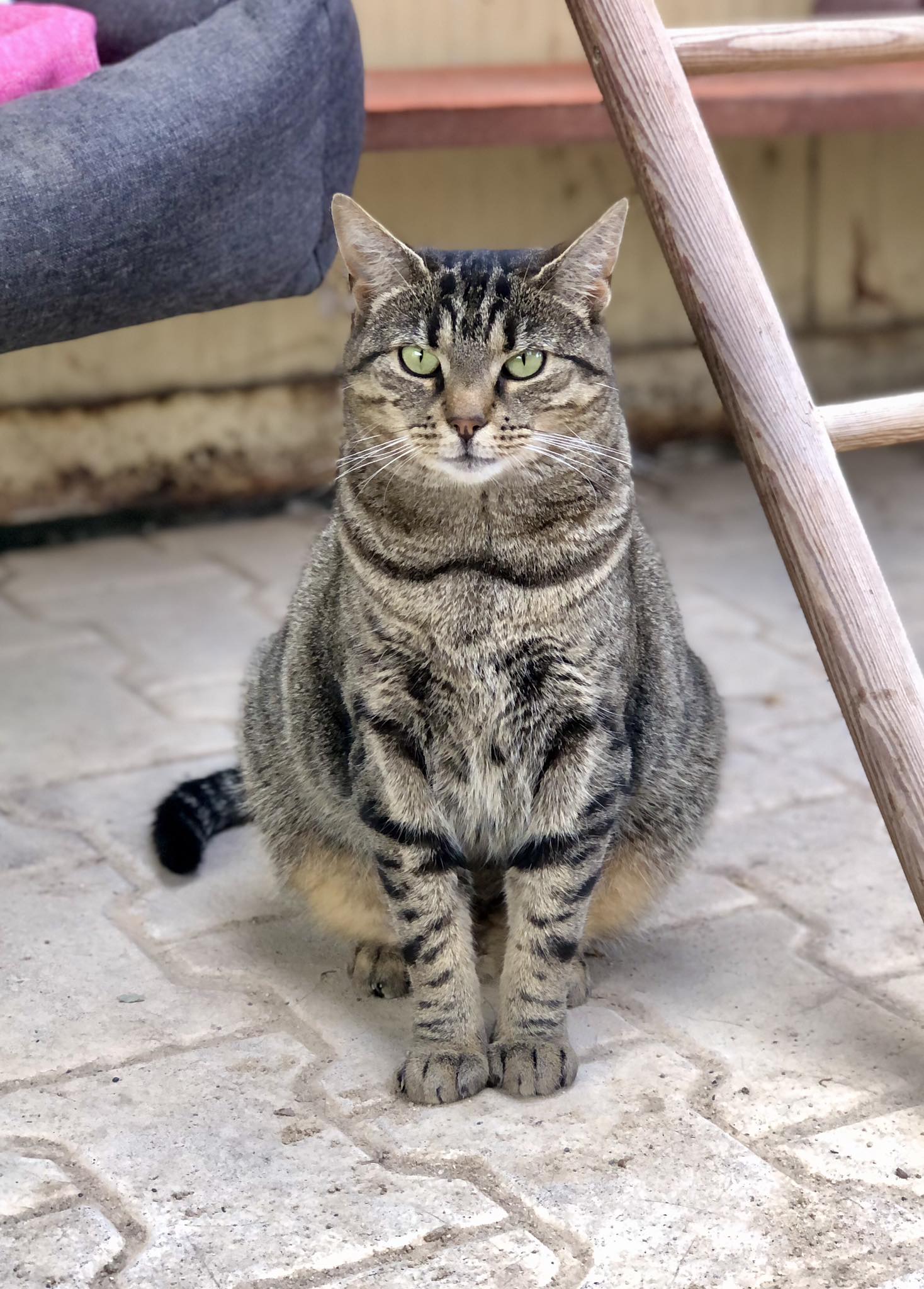 524813444_749650734590079_1790763660574115872_n