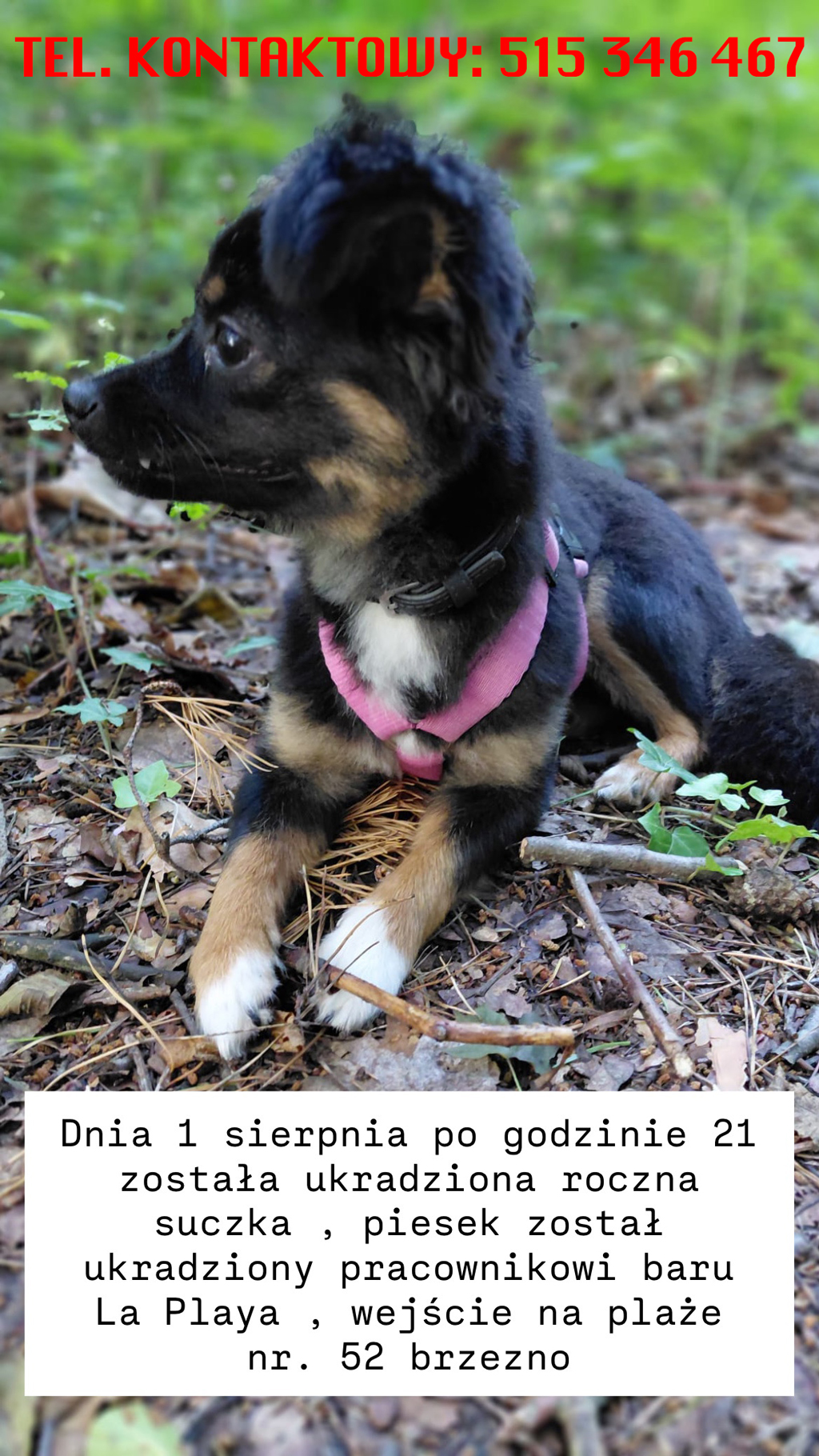 B45D0B24-A35C-42F8-A011-7438AE1908B2