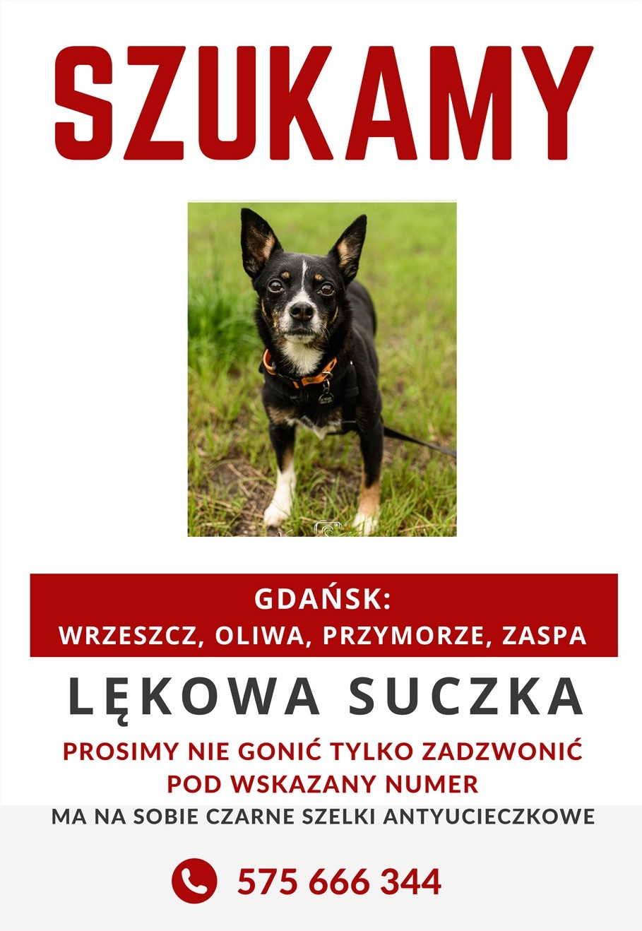 ZAGINIONA