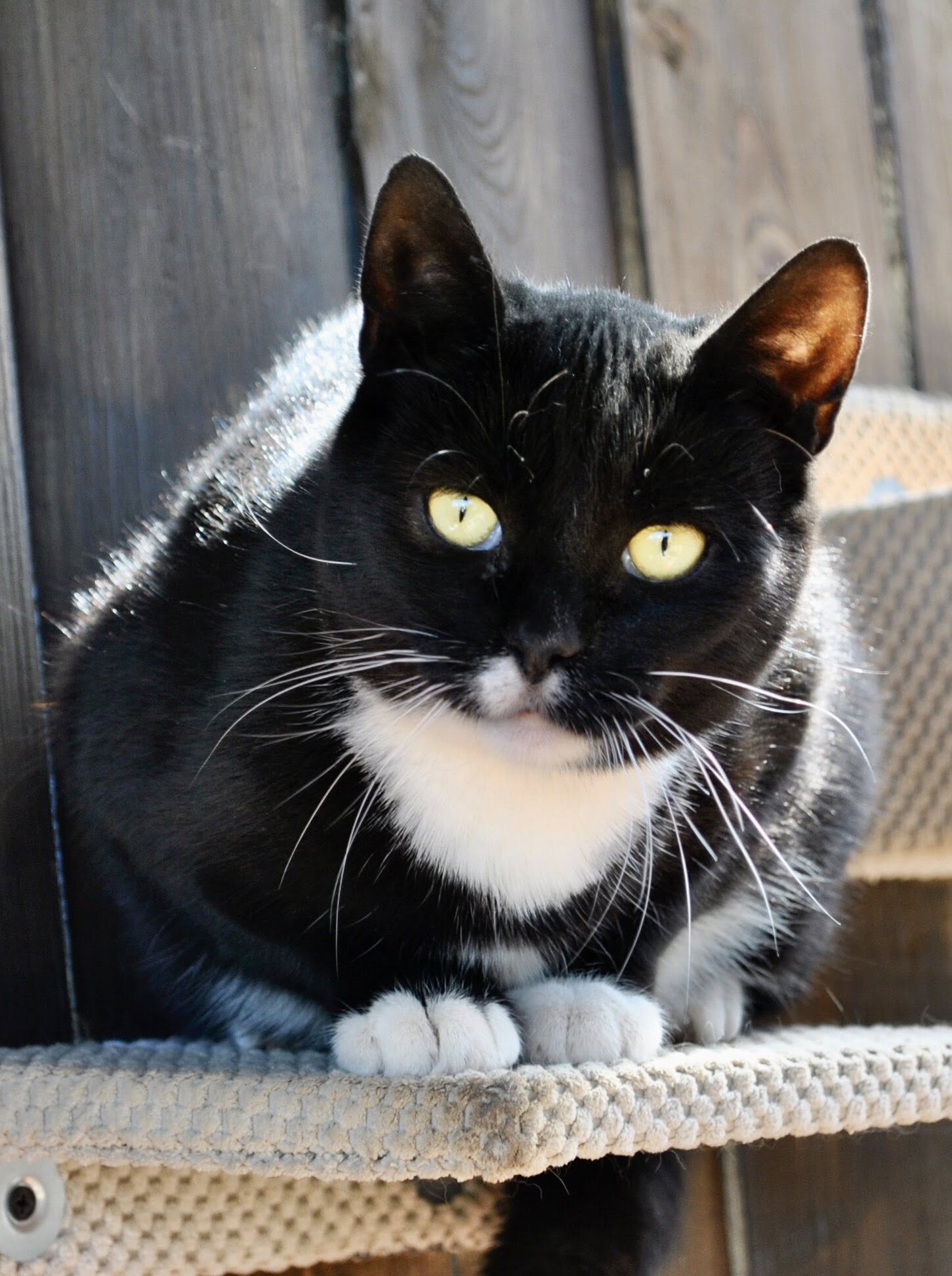 540053815_775921071963045_9005266720263358226_n