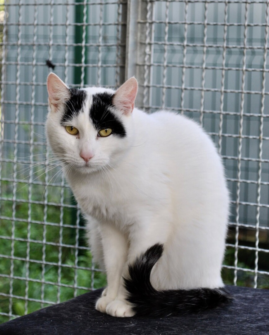 556539759_802796922608793_40778823568709736_n