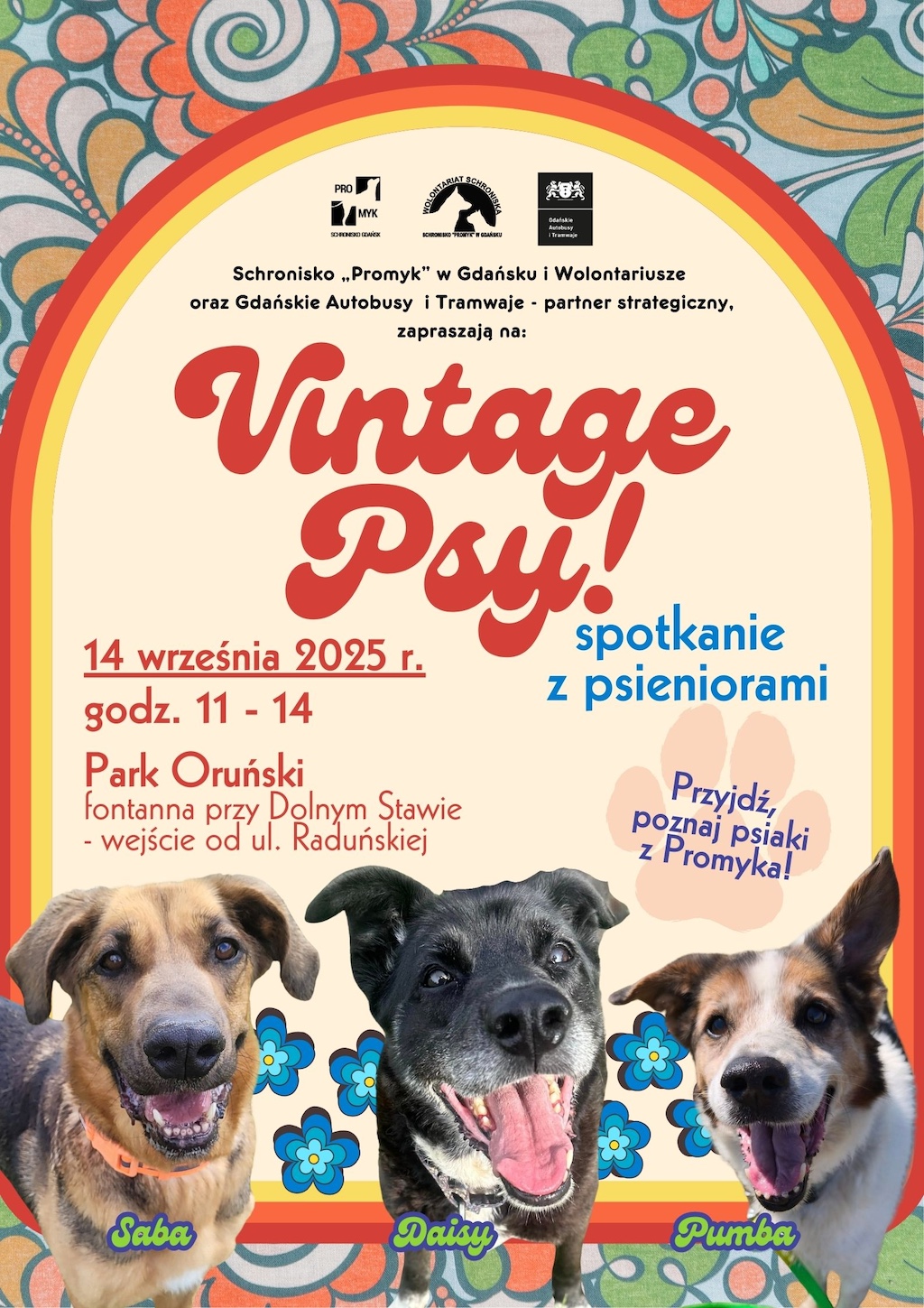 plakat promujący adopcję bezdomnych psów