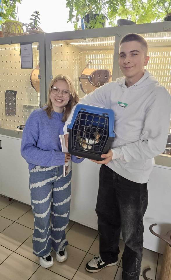 557625390_1201000835386947_5597585638391262909_n