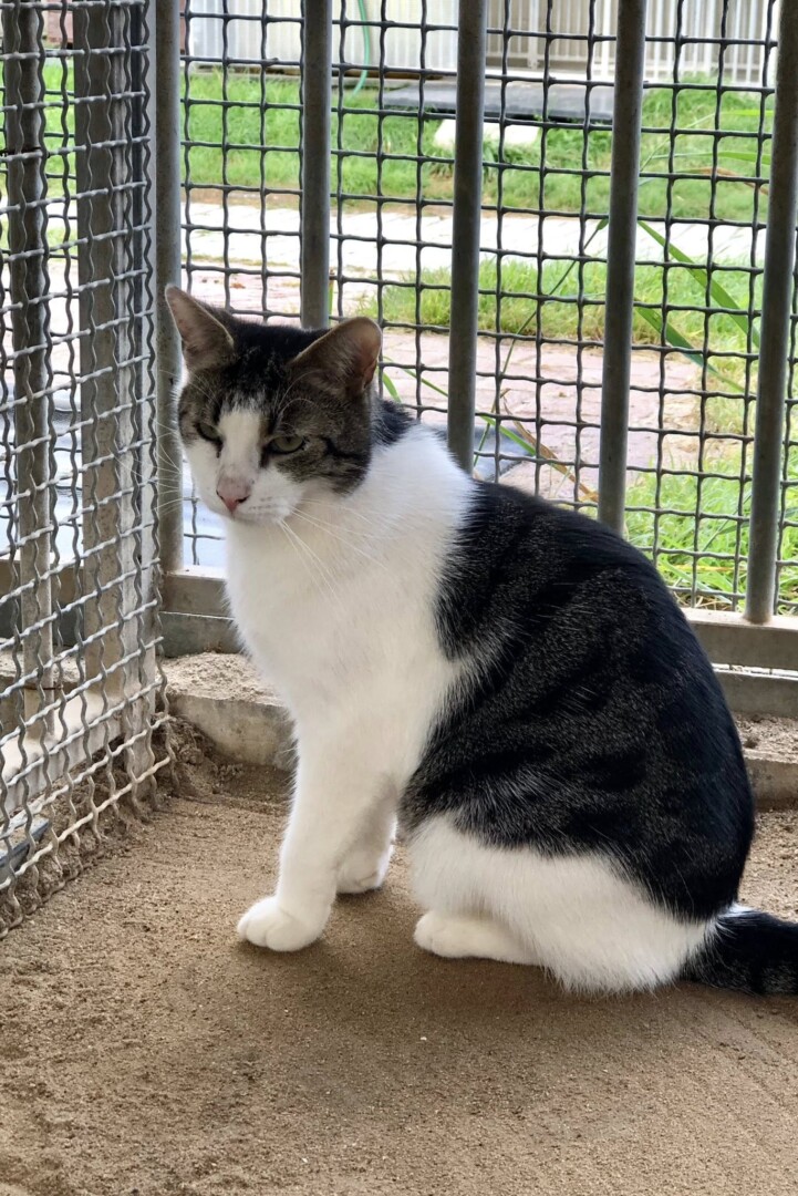 559925896_814372281451257_3777959258489298169_n