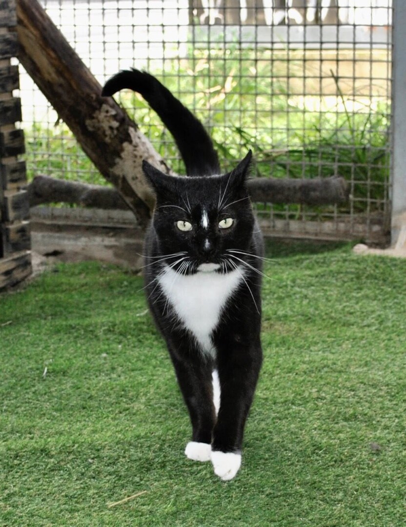 561469836_815021734719645_6969561385547887062_n