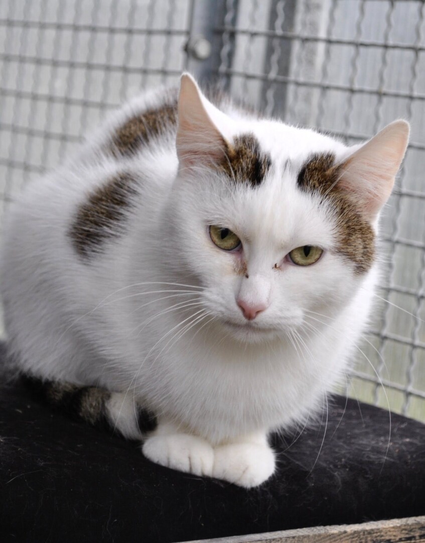 570242438_827377433484075_6309731085115984025_n