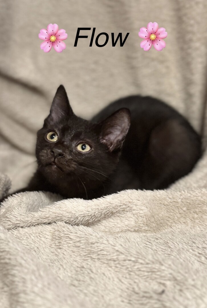 ED2617AD-172D-4B6E-B5E5-B84300520811