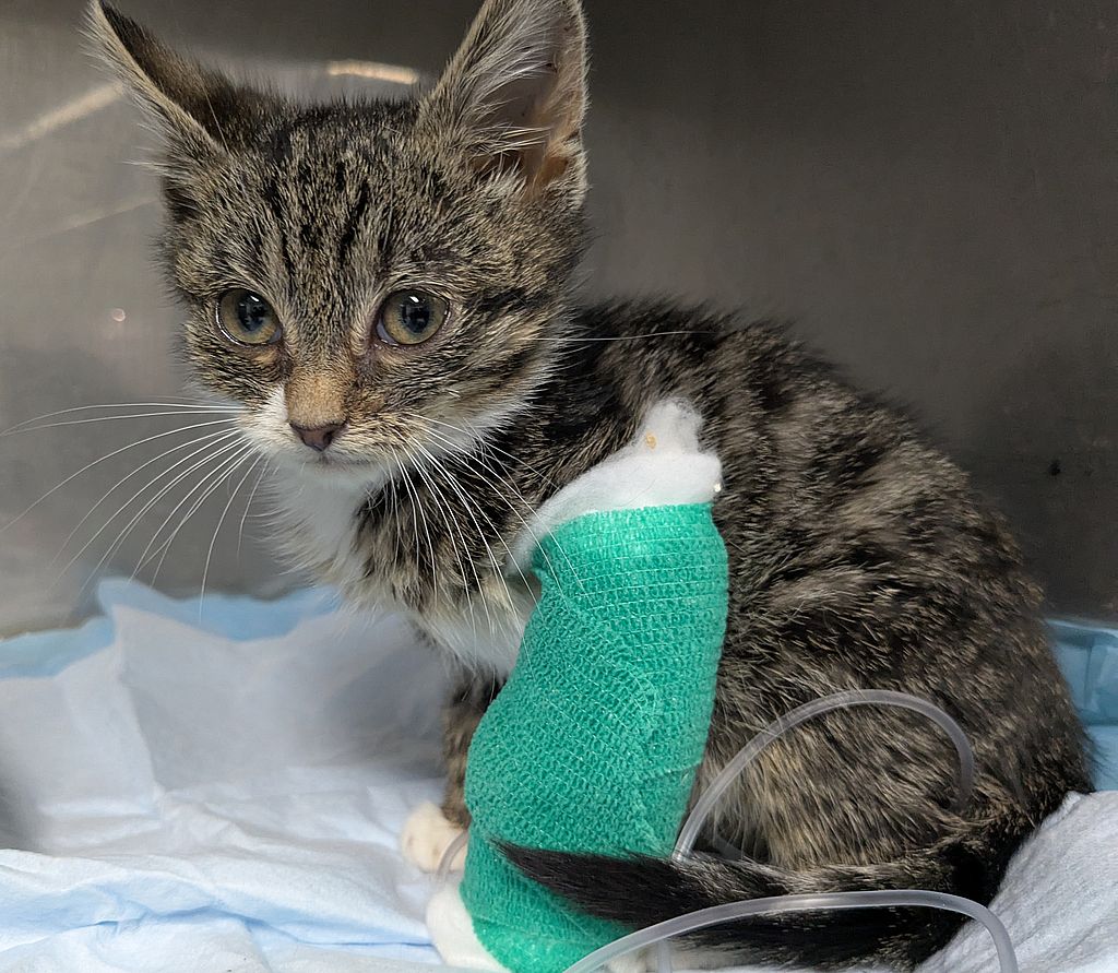 PXL_20251013_162906287