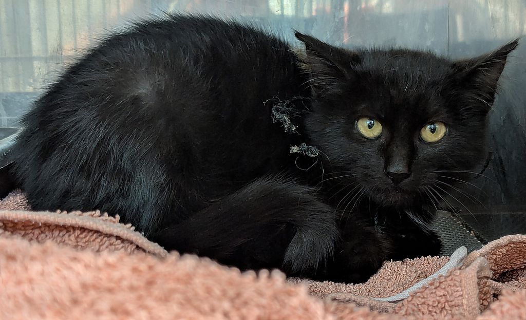 PXL_20251013_213340908