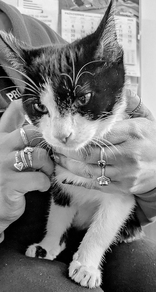 PXL_20251017_1005255952