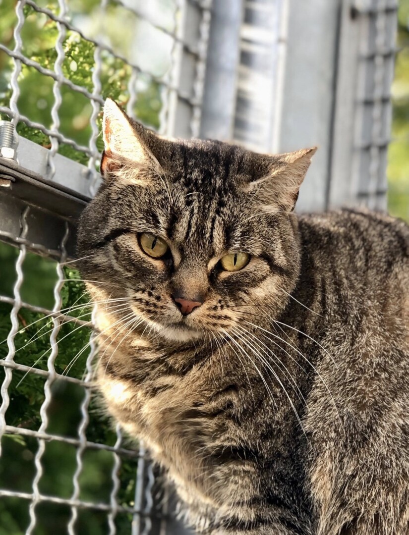 573313580_829666056588546_8483091717360479781_n