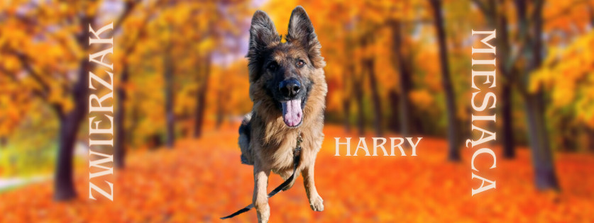 577863529_1284438527056331_5622022730851361935_n