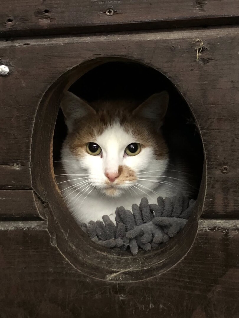 584021780_846279218260563_6662013490136322196_n