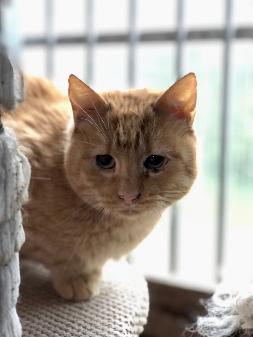 584680452_846709494884202_1472407265675945323_n