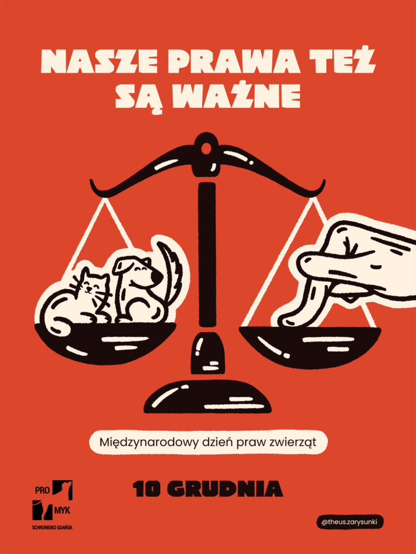 Międzynarodowy dzień praw zwierząt - Promyk_1