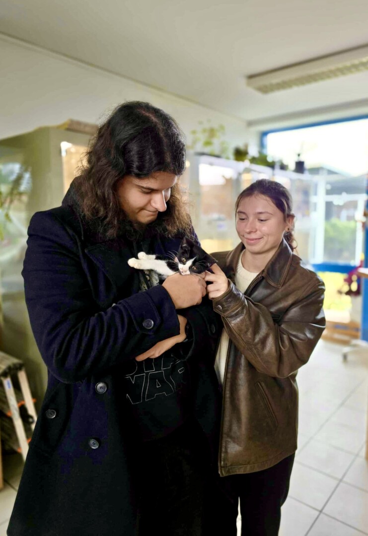 att.R0xjA3jkWV7bQJKlmjklhEhMDnciMzLZc7osZg3KDRo