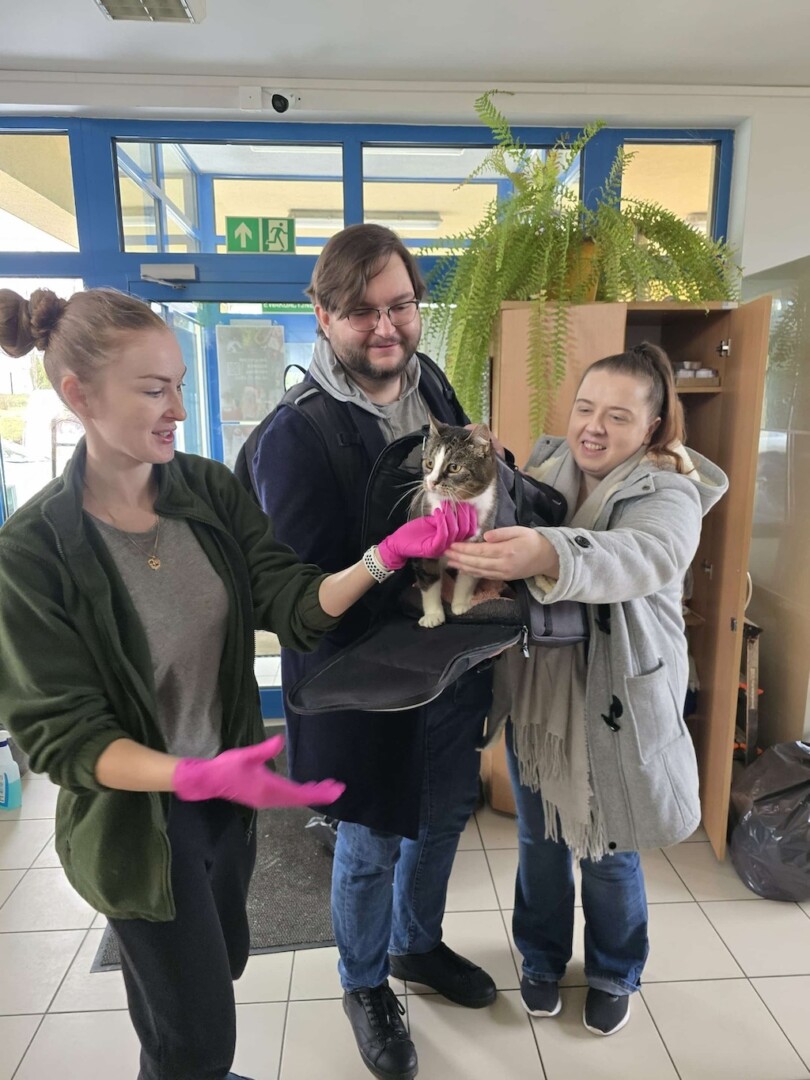 att.qnCaJNNZFUe0g7JQlFr12kW-XnvJQYltMu4TmPa7MJs