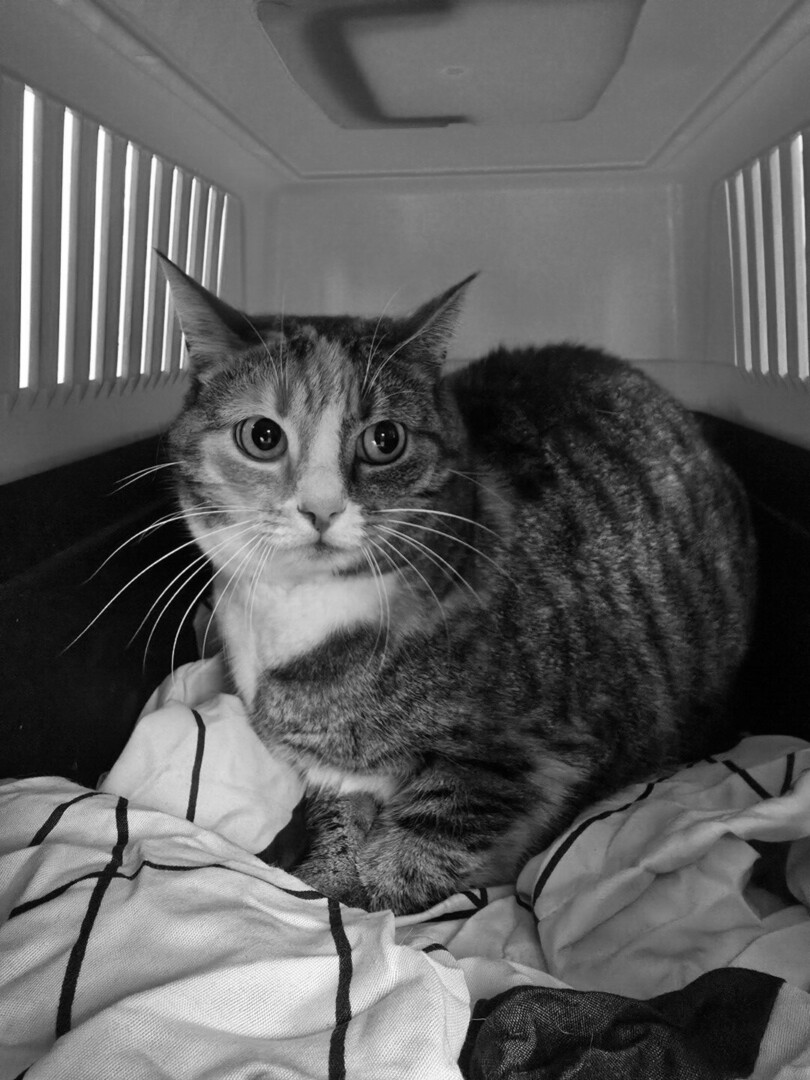 20251013_144603-rotated