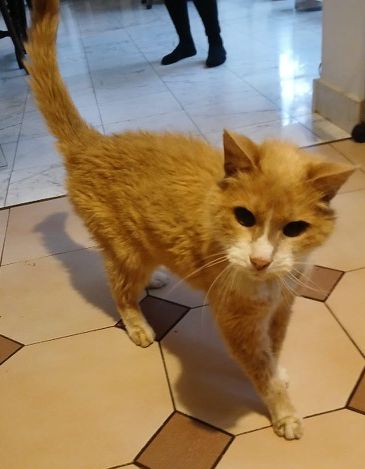 227c33d6-5348-4817-8104-af8aec52ee93